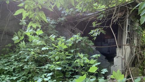 Thorns, Mold, Spiders! July 2022 - IMG_5219.JPG