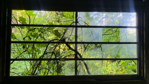 Thorns, Mold, Spiders! July 2022 - IMG_5221.JPG