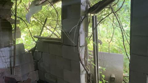 Thorns, Mold, Spiders! July 2022 - IMG_5222.JPG