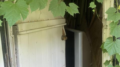 Thorns, Mold, Spiders! July 2022 - IMG_5228.JPG