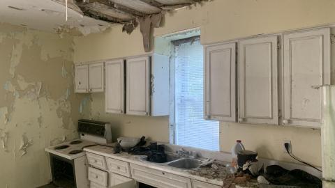 Thorns, Mold, Spiders! July 2022 - IMG_5231.JPG