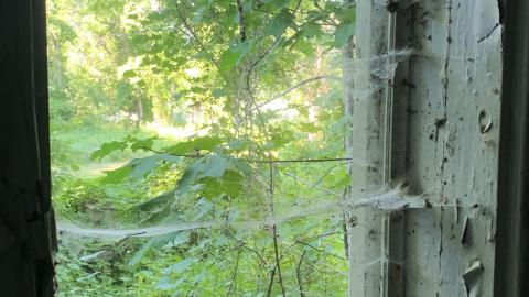 Thorns, Mold, Spiders! July 2022 - IMG_5232.JPG