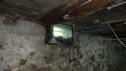 Thorns, Mold, Spiders! July 2022 - IMG_5243.JPG