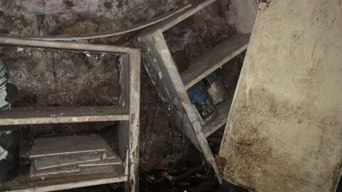 Thorns, Mold, Spiders! July 2022 - IMG_5245.JPG