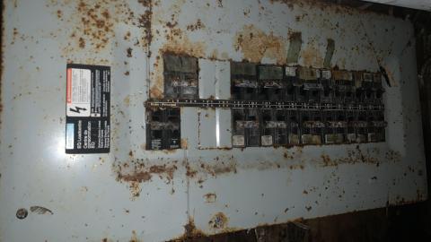 Thorns, Mold, Spiders! July 2022 - IMG_5246.JPG