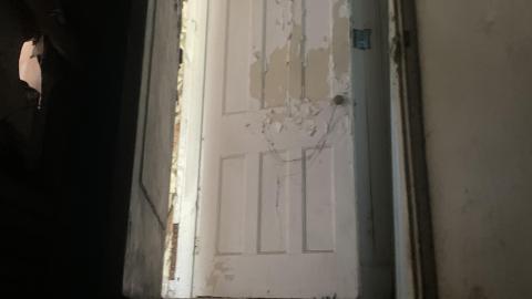 Thorns, Mold, Spiders! July 2022 - IMG_5248.JPG