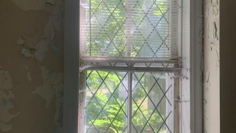 Thorns, Mold, Spiders! July 2022 - IMG_5249.JPG