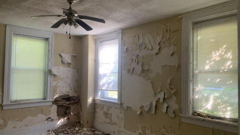 Thorns, Mold, Spiders! July 2022 - IMG_5251.JPG