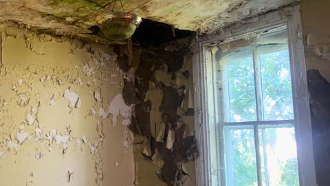 Thorns, Mold, Spiders! July 2022 - IMG_5252.JPG