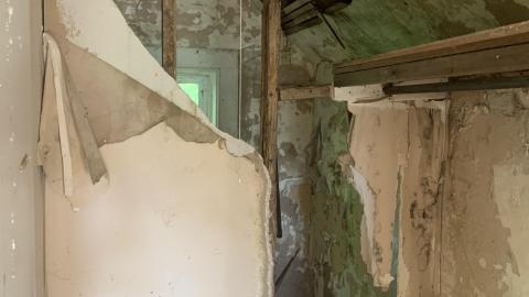 Thorns, Mold, Spiders! July 2022 - IMG_5259.JPG