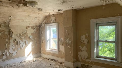 Thorns, Mold, Spiders! July 2022 - IMG_5258.JPG