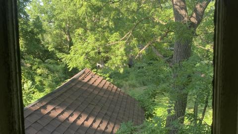 Thorns, Mold, Spiders! July 2022 - IMG_5261.JPG