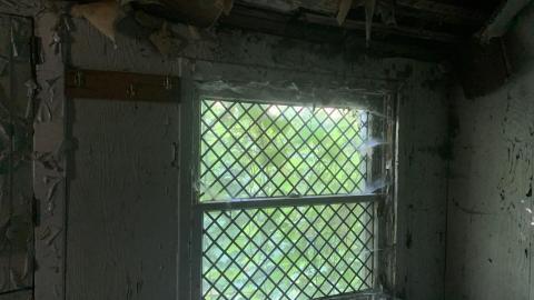 Thorns, Mold, Spiders! July 2022 - IMG_5267.JPG