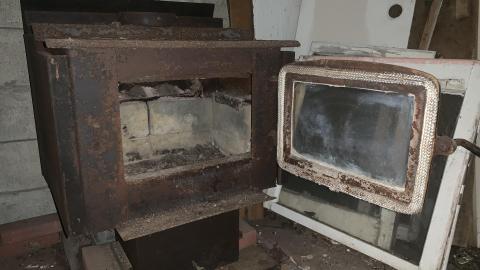 Thorns, Mold, Spiders! July 2022 - IMG_5268.JPG