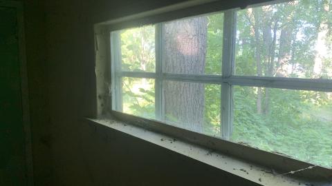 Thorns, Mold, Spiders! July 2022 - IMG_5270.JPG