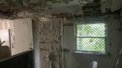 Thorns, Mold, Spiders! July 2022 - IMG_5272.JPG