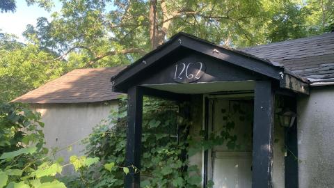 Thorns, Mold, Spiders! July 2022 - IMG_5273.JPG