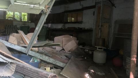 Thorns, Mold, Spiders! July 2022 - IMG_5274.JPG