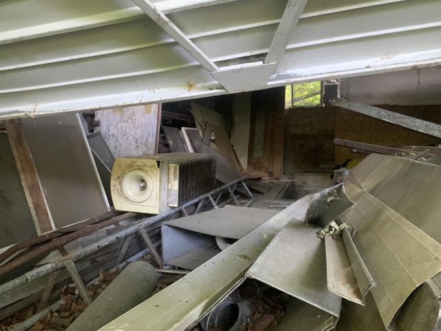 Thorns, Mold, Spiders! photo 3