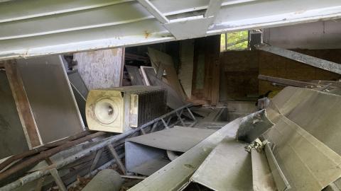 Photo from Thorns, Mold, Spiders! July 2022