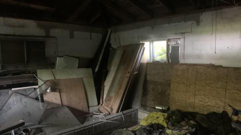 Thorns, Mold, Spiders! July 2022 - IMG_5277.JPG