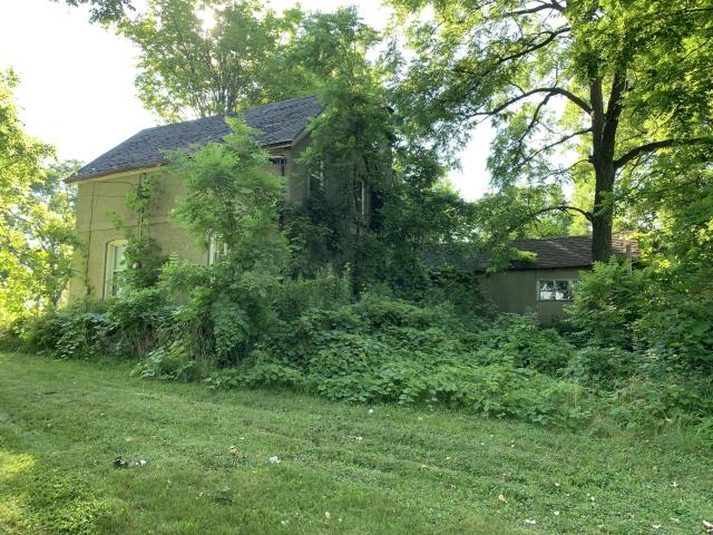 Thorns, Mold, Spiders! photo 4