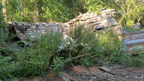 Oh look! Another Silo July 2022 - IMG_5285.JPG