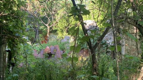 Oh look! Another Silo July 2022 - IMG_5289.JPG