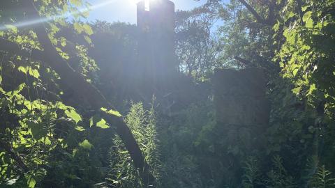 Oh look! Another Silo July 2022 - IMG_5295.JPG