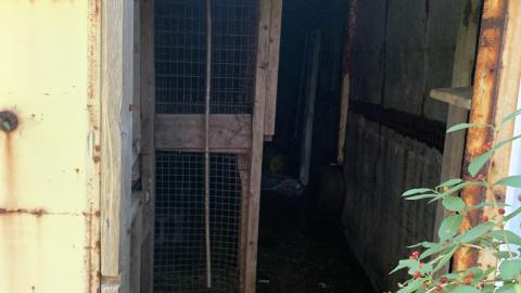 Oh look! Another Silo photo 2