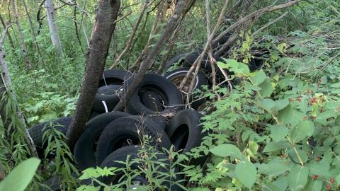 Oh look! Another Silo July 2022 - IMG_5300.JPG