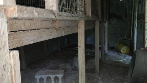 Oh look! Another Silo July 2022 - IMG_5301.JPG