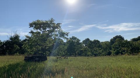 Oh look! Another Silo July 2022 - IMG_5308.JPG