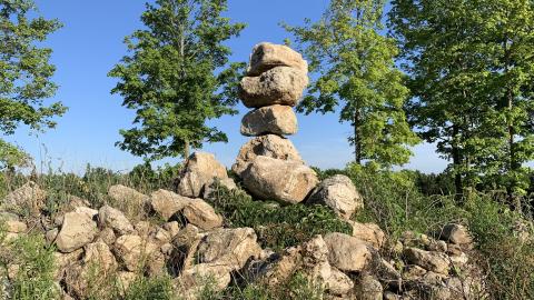 Oh look! Another Silo July 2022 - IMG_5313.JPG