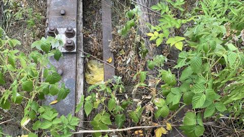 Remnants of The Hamilton Radial Electric Railway July 2022 - IMG_5401.JPG