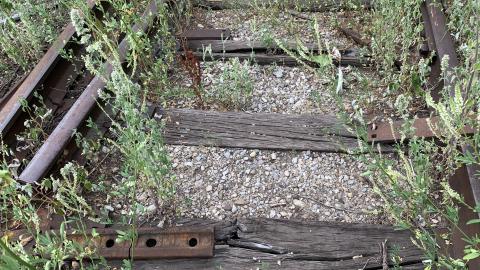 Remnants of The Hamilton Radial Electric Railway July 2022 - IMG_5403.JPG