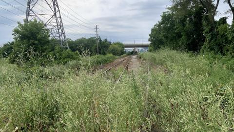 Remnants of The Hamilton Radial Electric Railway July 2022 - IMG_5405.JPG