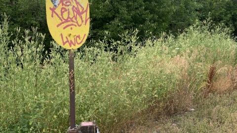 Remnants of The Hamilton Radial Electric Railway July 2022 - IMG_5410.JPG