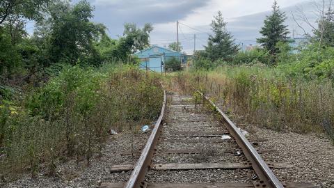 Remnants of The Hamilton Radial Electric Railway July 2022 - IMG_5413.JPG