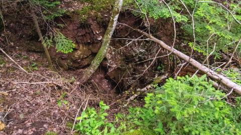 07/07/22 - Albert Manufacturing Co. Mine - IMG_2403.JPG