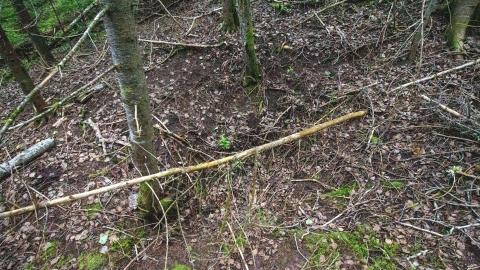 07/07/22 - Albert Manufacturing Co. Mine - IMG_2406.JPG