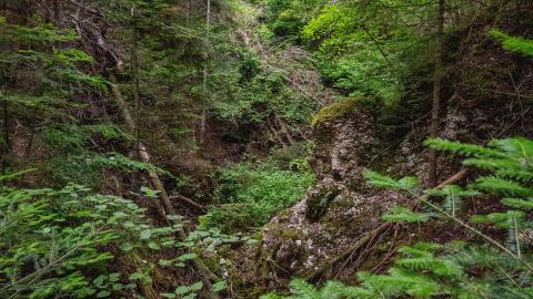 07/07/22 - Albert Manufacturing Co. Mine - IMG_2408.JPG