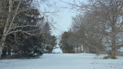 Winchester House - MagnerRobson-Home-(1860)101.jpg