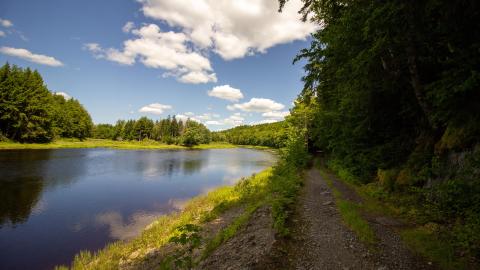 07/10/22 - Along The River - IMG_2485.JPG