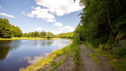 07/10/22 - Along The River - IMG_2486.JPG