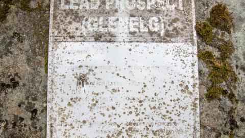 Photo from 07/10/22 - Along The River