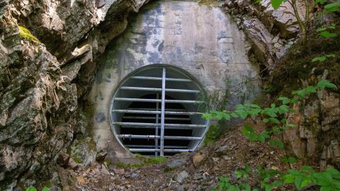 07/10/22 - Along The River - IMG_2491.JPG