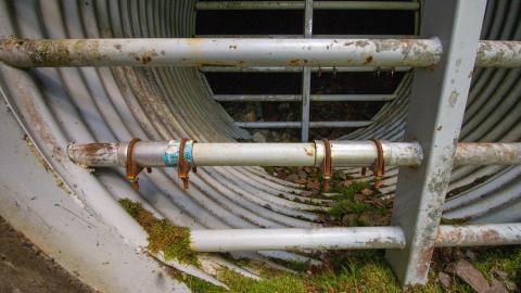 Photo from 07/10/22 - Along The River