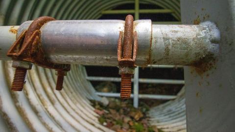 07/10/22 - Along The River - IMG_2493.JPG