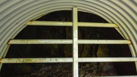 Photo from 07/10/22 - Along The River